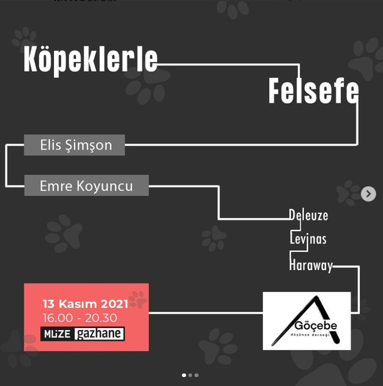 Köpeklerle Felsefe